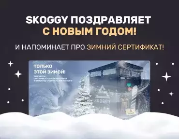 Новый год к нам мчится и приносит крутые предложения от SKOGGY