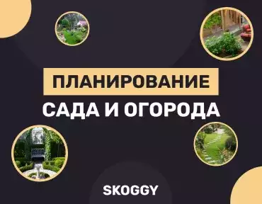 Планирование «ленивого» сада и огорода